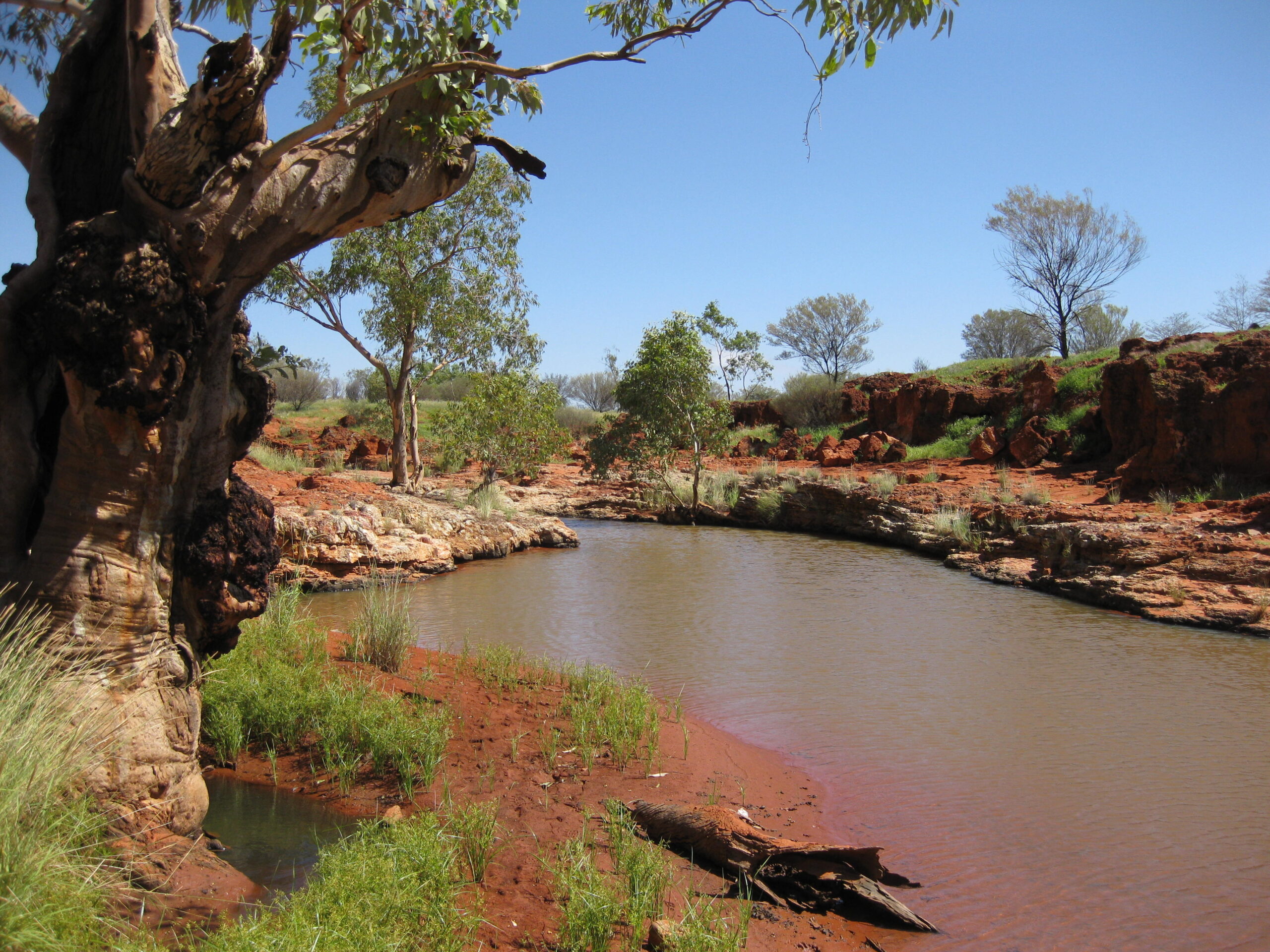 Yaua waterhole after rain at North Angas Downs in central Australia